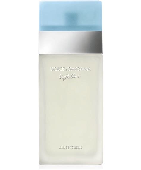 druni dolce gabbana light blue